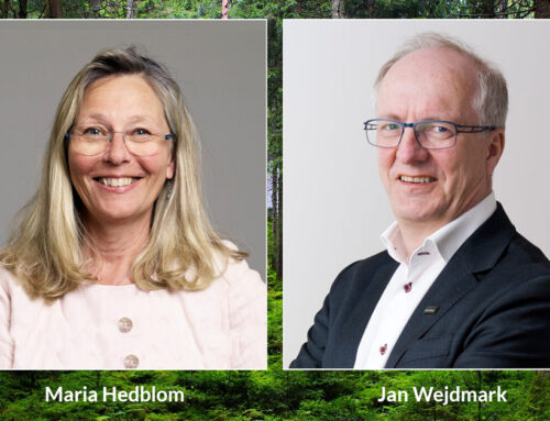 World Forest Forum växer – rekryterar ny vd