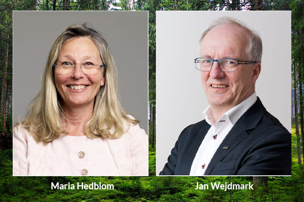 WFF rekryterar ny vd – nyhet Stöd Green Agreement - World Forest Forum