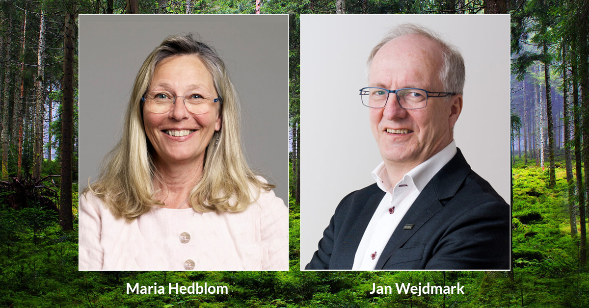 WFF rekryterar ny vd