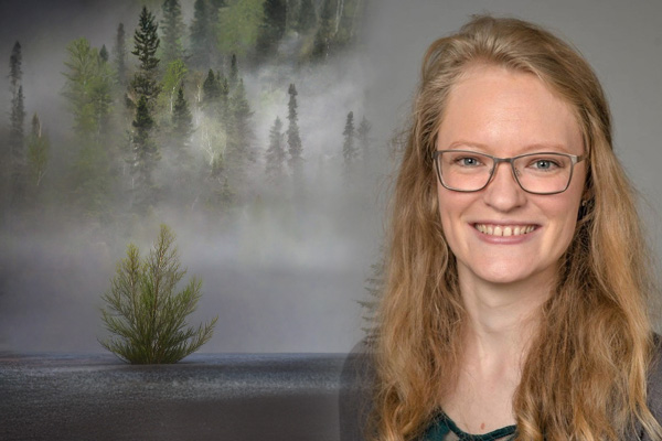 Logotyp till WFF:s stipendium