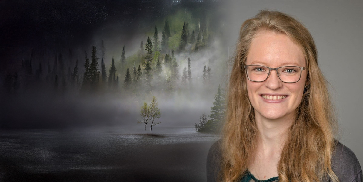 föreläsning - bild av skog i dimma och Auvikki.