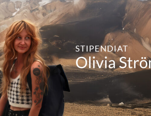 Årets stipendiat utsedd