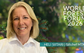 Heli Siitari, finsk expert inom hållbart skogsbruk medverkar på World Forest Forum 2026