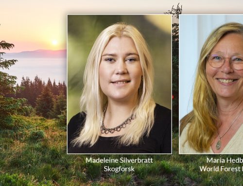 Projekt vill förena naturvärden och affärsnytta