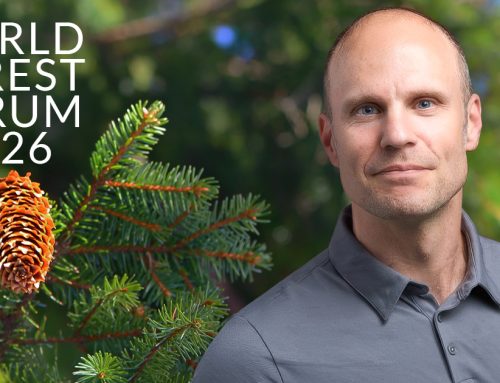 Pilstjärna om naturåtgärder som gör skillnad