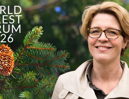 När samtalet flyttar ut i skogen