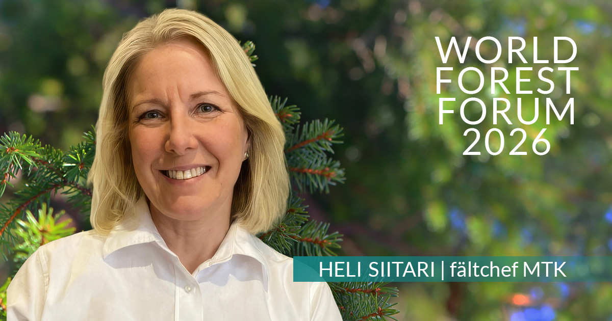Heli Siitari