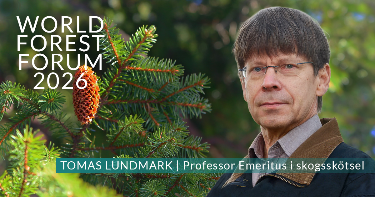 Tomas Lundmark